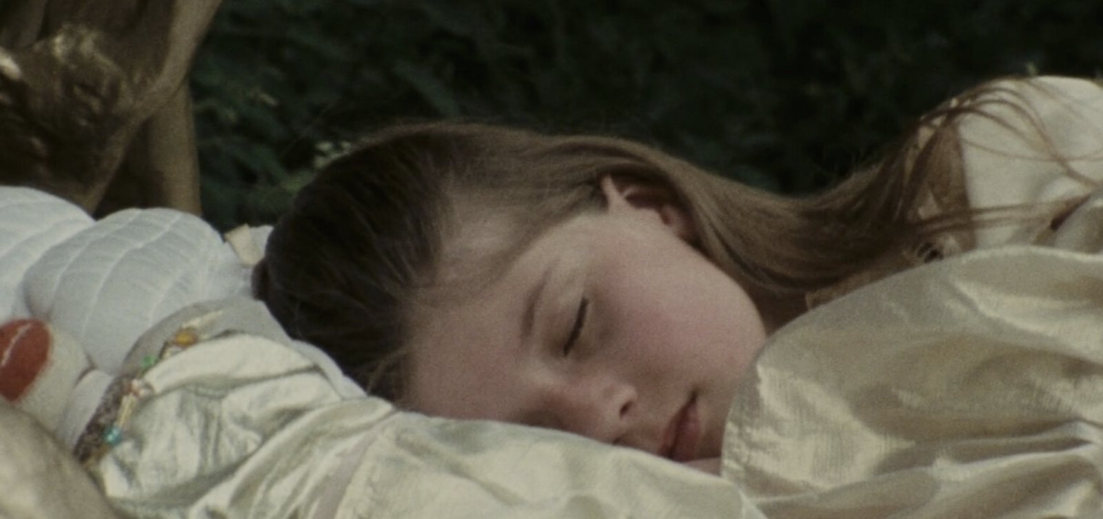 A Dream Longer Than the Night